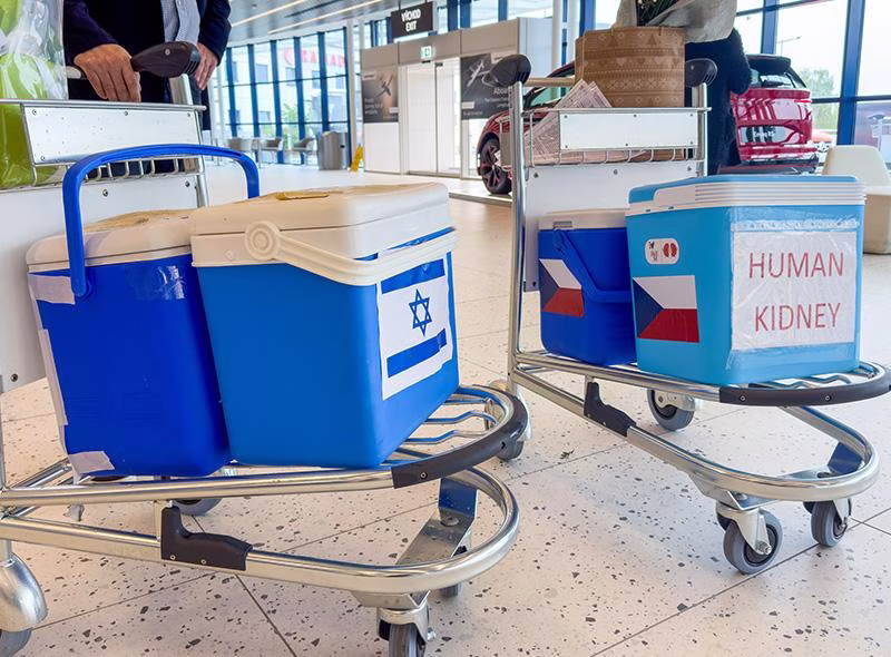 Fifth Czech-Israeli Kidney Exchange Connected Transplant Teams